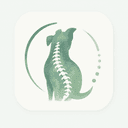 Spine & Back
