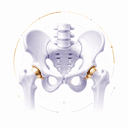 Hip X-Ray