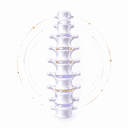Spine X-Ray